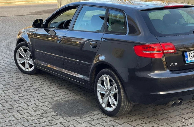Audi A3 cena 26997 przebieg: 191000, rok produkcji 2009 z Głogów małe 301
